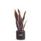 LSU Snake Plant, LSU Faux Snake Plant, LSU Gifts for Men, LSU Gifts for Women, LSU Gifts, Louisiana University Decorations, Office Accessories for Men, Desk Sets and Accessories for Women